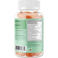 Active B-Complex