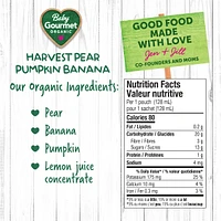 Harvest Pear Pumpkin Banana
