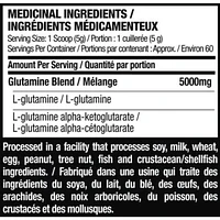 Six Star Elite Series Glutamine Powder