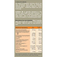 Leritone SE