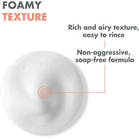 Cleansing foam