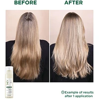 Extra-Gentle Dry Shampoo with Oat Milk