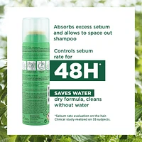 Oil Absorbing Dry Shampoo with Nettle - Tinted - Oily Dark Hair