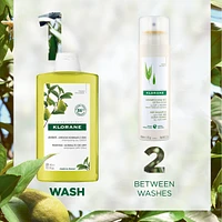 Purifying Shampoo with Citrus Pulp - Normal to Oily Hair - Purifying