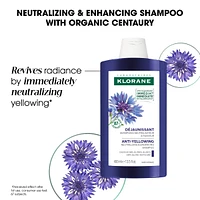 Anti-yellowing Shampoo with ORGANIC Centaury - Grey, blond hair