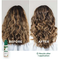 Cica-Serum with ORGANIC Cupuaçu & Hyaluronic Acid- Repairing - Very Dry Hair