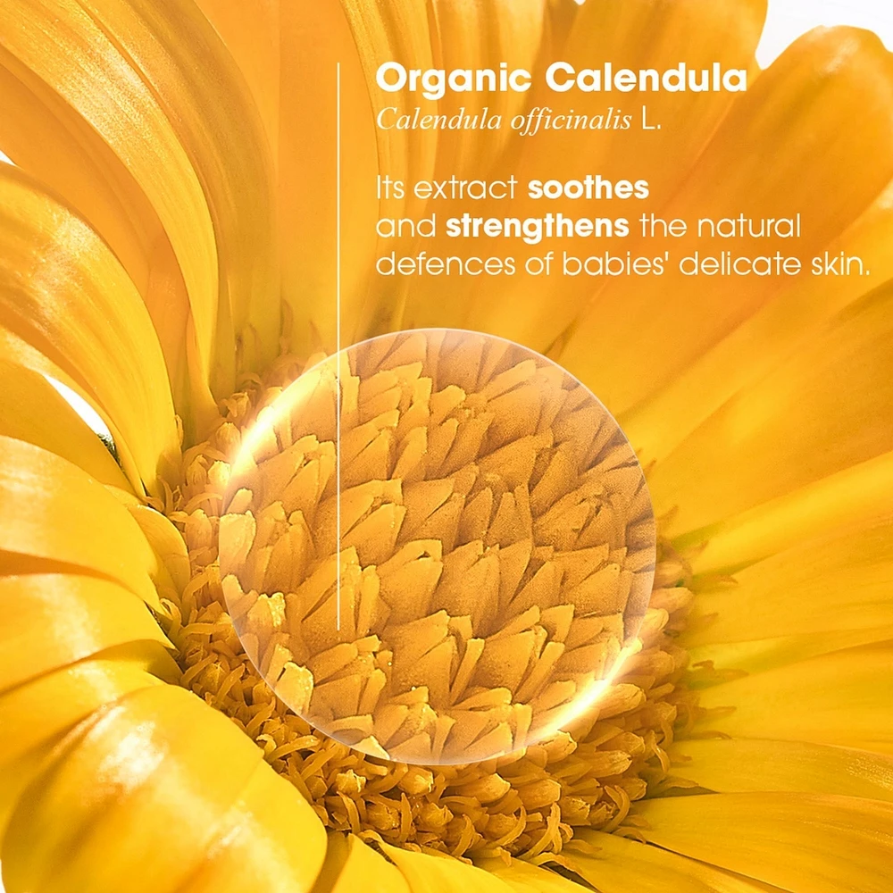Diaper Change Cream with Organic Calendula - Diaper Area - Baby