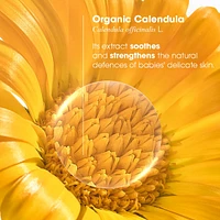 Diaper Change Cream with Organic Calendula - Diaper Area - Baby