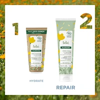 Diaper Change Cream with Organic Calendula - Diaper Area - Baby