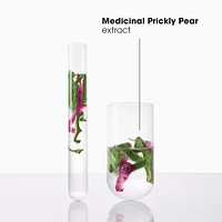 Quenching shampoo with Prickly Pear