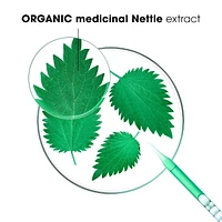 Oil Absorbing Shampoo with ORGANIC Nettle - Oily Hair