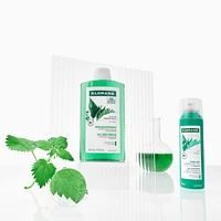 Oil Absorbing Shampoo with ORGANIC Nettle - Oily Hair