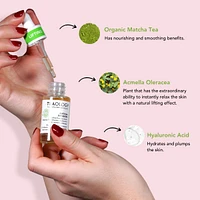 Matcha Tea Gift Set