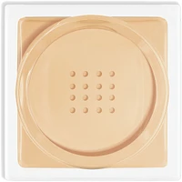 PRO Loose setting powder