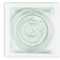 Dewy Canvas Prep Moisturizer + Primer
