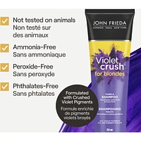 Violet Crush Daily Purple Shampoo