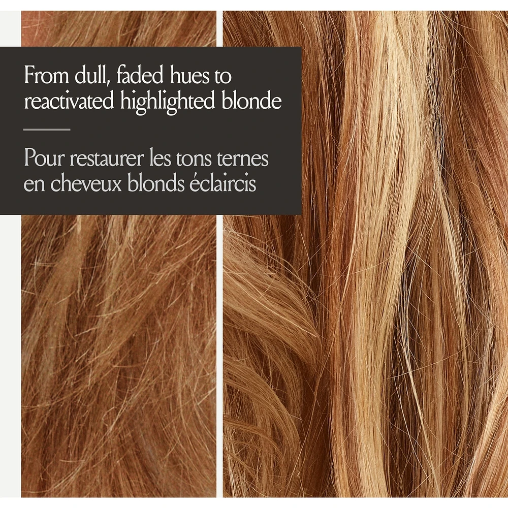 Highlight Activating Brightening Shampoo
