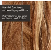 Highlight Activating Brightening Shampoo