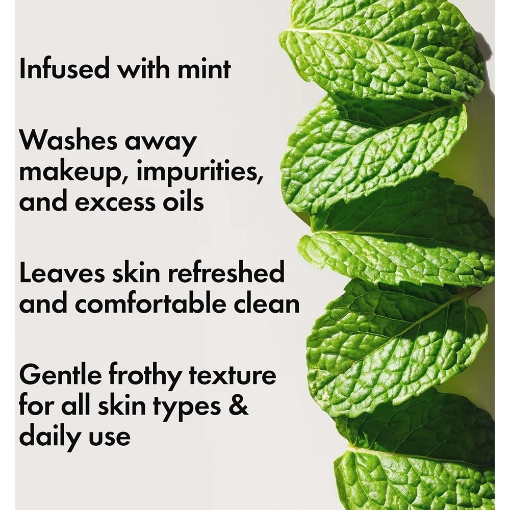 Checks and Balances™ Frothy Face Wash