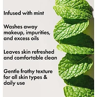 Checks and Balances™ Frothy Face Wash