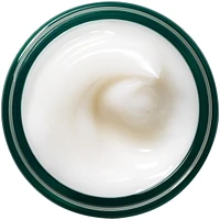 Make A Difference Plus + Rejuvenating Treatment Lotion
