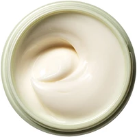 Dr Weil Mega-Bright Dark Spot Correcting Night Mask