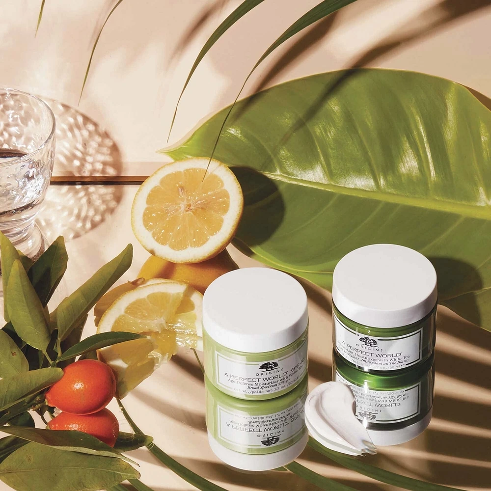 A Perfect World™ Antioxidant Moisturizer With White Tea