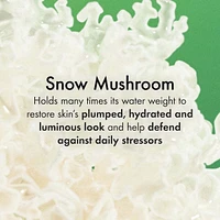 Dr. Andrew Weil for Origins™ Mega-Mushroom Soothing Hydra-Mist with Reishi and Snow Mushroom