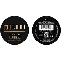 Conceal + Perfect Blur Out Powder