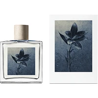 Concrete Rain Eau de Parfum