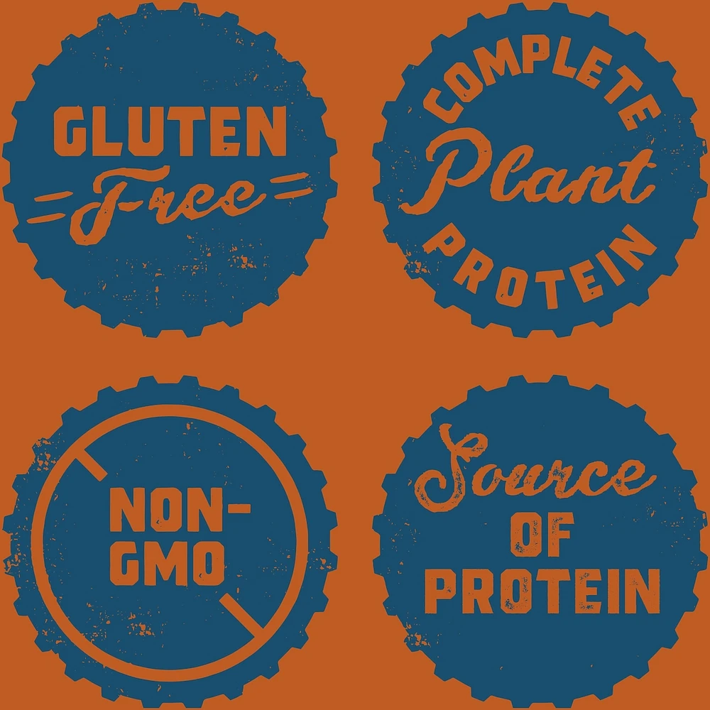 CLIF BUILDERS™  - Protein Bars - Chocolate Peanut Butter Flavour - (68 Gram Non-GMO Bars, 6 Count)