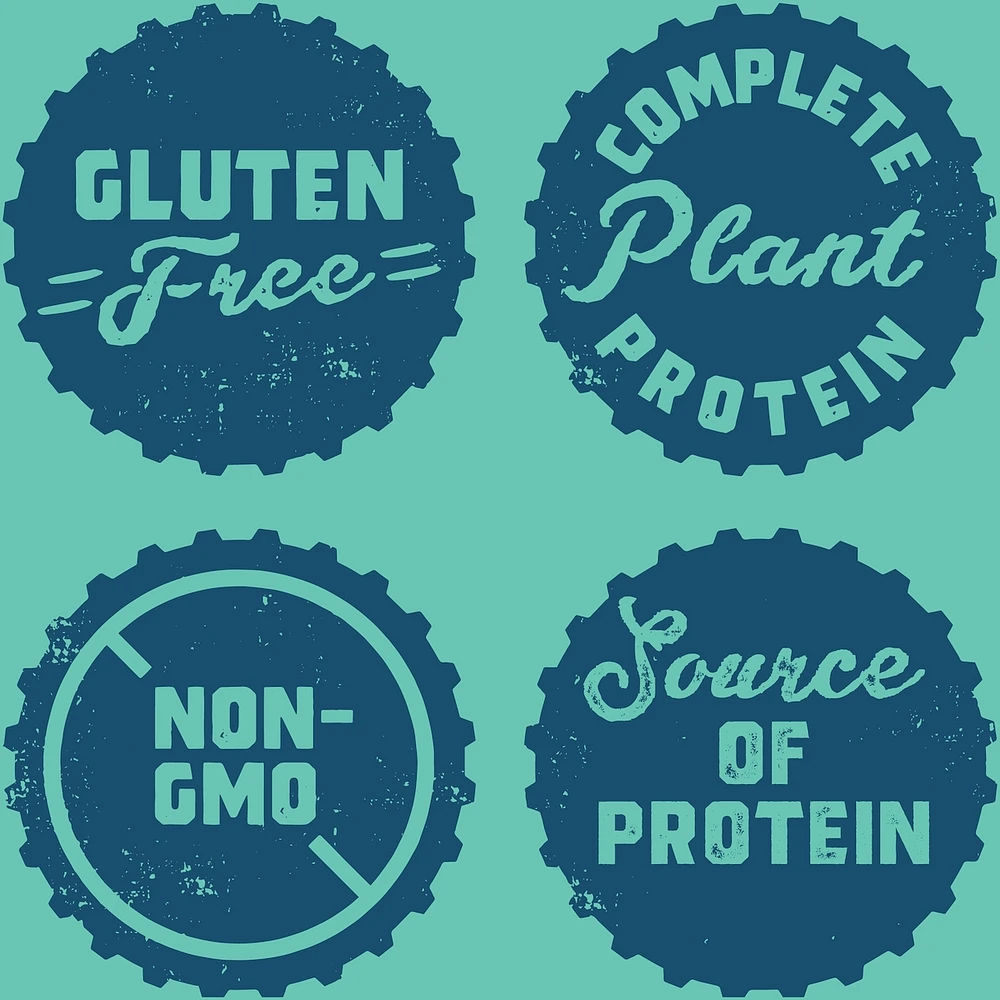 CLIF BUILDERS™  - Protein Bars - Chocolate Mint - (68 Gram Non-GMO Bars, 6 Count)