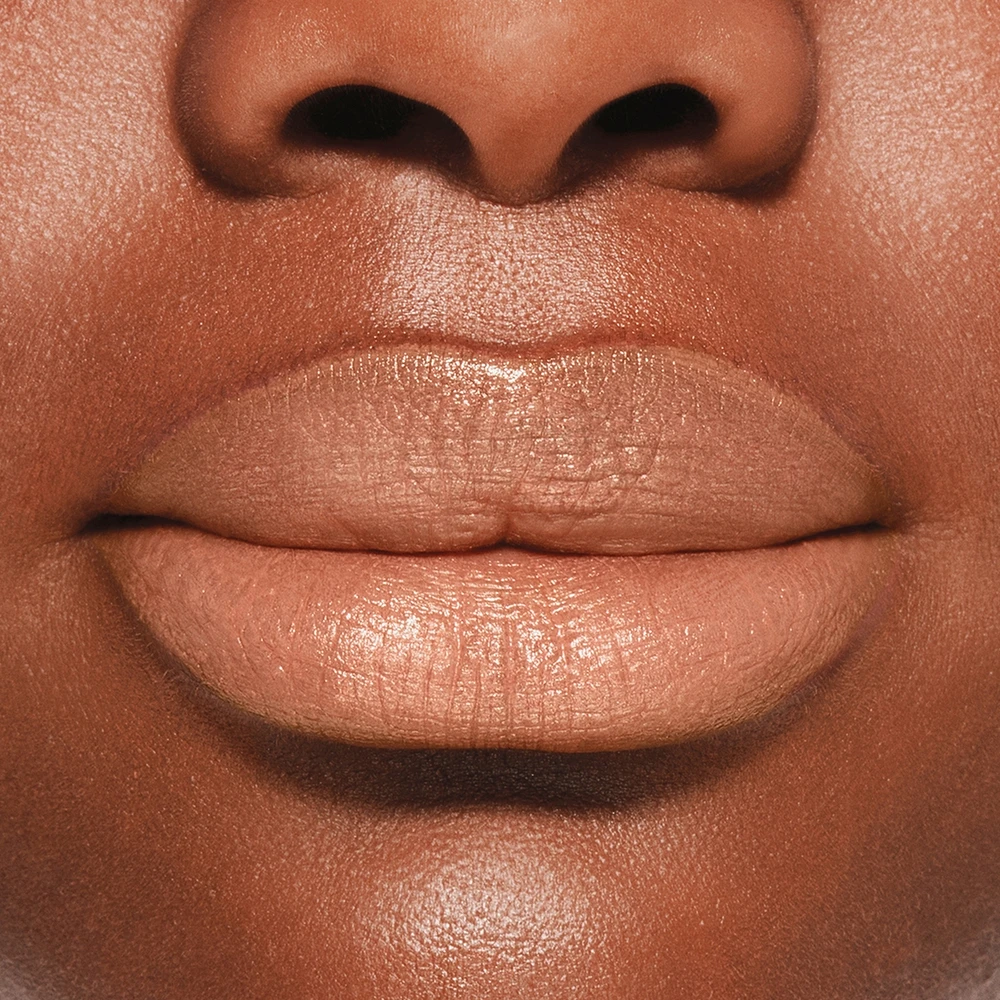 VisionAiry Gel Lipstick
