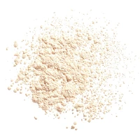 Synchro Skin Invisible Silk Loose Powder
