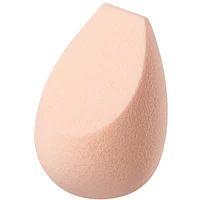 The Sponge