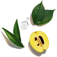 Shiseido Future Solution Lx‚Total Regenerating Cream S