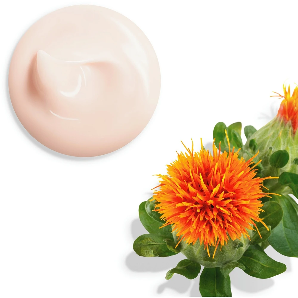 Vital Perfection Uplifting and Firming Day Cream