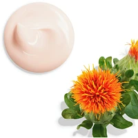 Vital Perfection Uplifting and Firming Day Cream