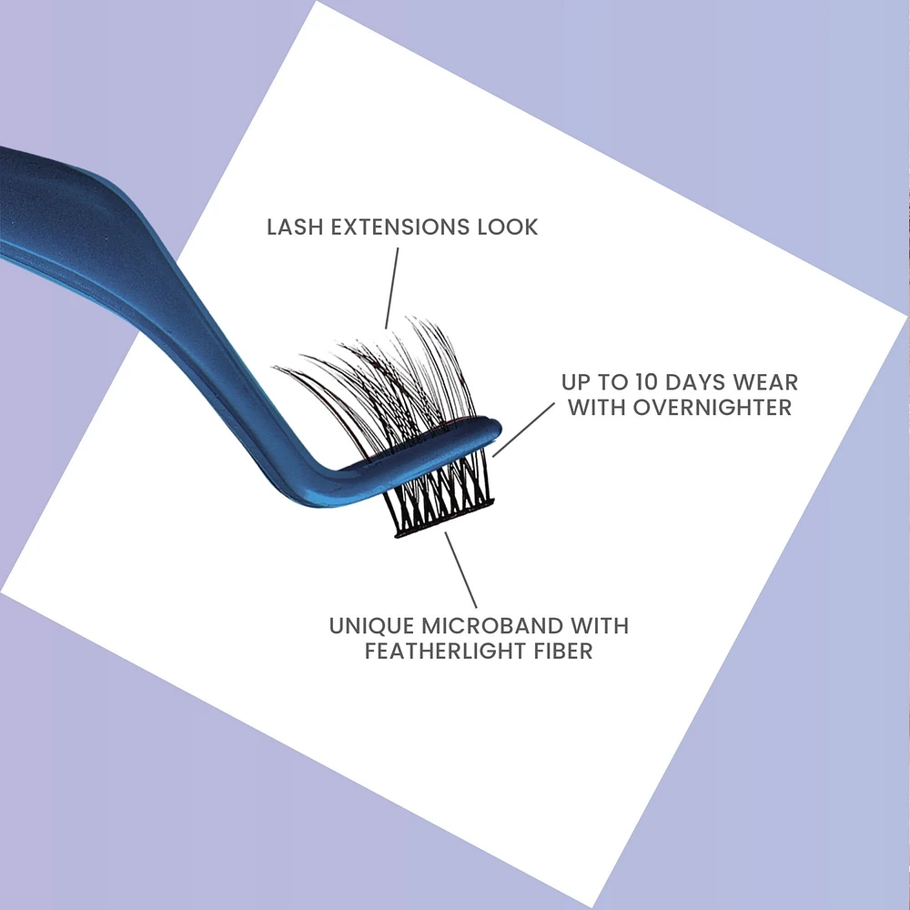 Falscara Eyelash - Starter Kit