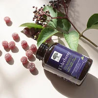 Elderberry Gummies