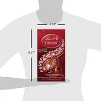 Truffes LINDOR double chocolat – Sachet