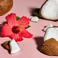 SheaMoisture Coconut & Hibiscus Curl and Shine Shampoo for Thick Curly hair with Silk Protein & Neem Oil Sulfate Free 384 ml