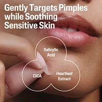 Fast Rescue Pimple Patches 24ct