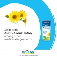Arnicare Gel Relieves Muscle and Joint Pain, and Treats Bruises and Bumps