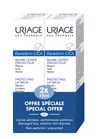 BOGO Bariéderm Lip Balm