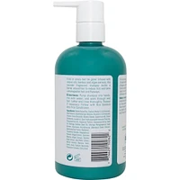 Anti-Frizz Shampoo