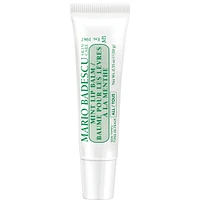 Mint Lip Balm