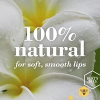 100% Natural Origin Moisturizing Lip Balm