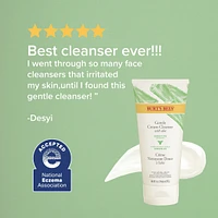 Sensitive Solutions Gentle Facial Cream Cleanser, Daily Face Wash for Sensitive Skin with Aloe, 98.9% Natural Origin, Developed with Dermatologists