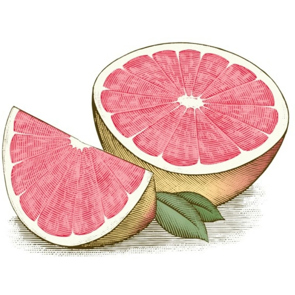 100% Natural Origin Moisturizing Lip Balm, Pink Grapefruit